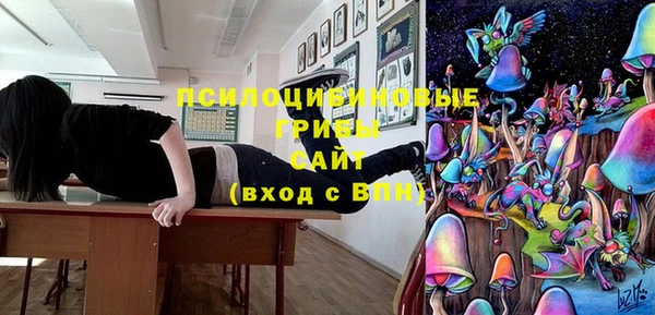 ПСИЛОЦИБИНОВЫЕ ГРИБЫ Волоколамск