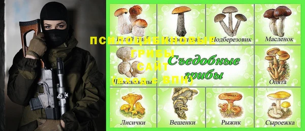 ПСИЛОЦИБИНОВЫЕ ГРИБЫ Волоколамск